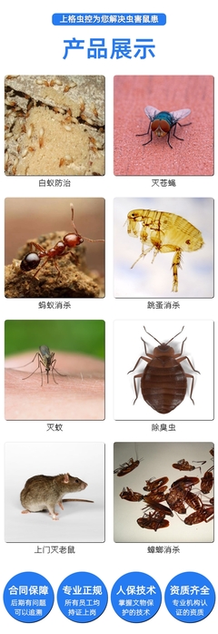 杭州超市消殺價格 別墅滅鼠服務 上格生物上門滅蟲服務