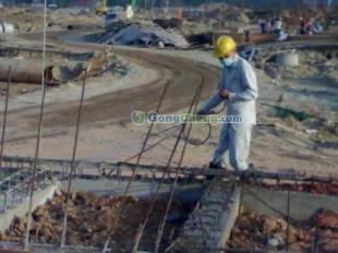 供應供應:珠海白蟻防治公司-珠海創衛白蟻蟲控服務中心_環保_世界工廠網中國產品信息庫