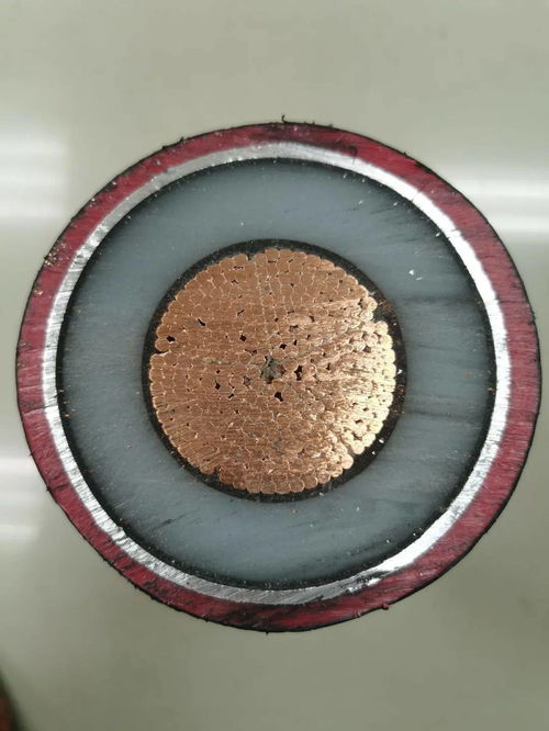 來吧,展示 山東電工電氣2021年55項新產品發布