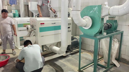 小麥脫皮機 麥仁加工機器 面粉廠食品廠用小麥去皮機