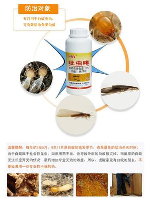 【家里有白蟻就用吡蟲啉,家中滅白蟻價格 長沙縣白蟻防治所推薦使用滅白蟻藥產品】價格_廠家_圖片 -
